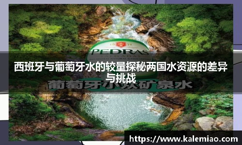 球盟会
