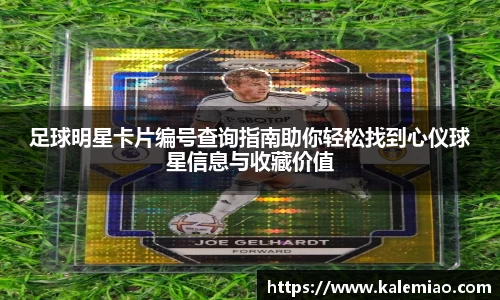 球盟会